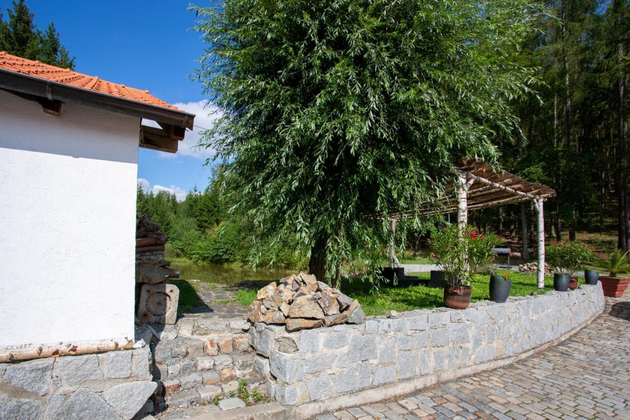 Hajovna Hnevnice Exterior photo